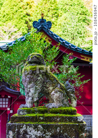 箱根神社　狛犬　 108436947