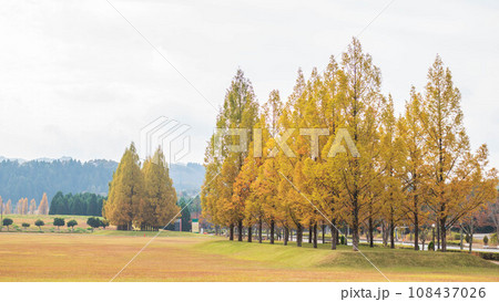 赤穂郡 光都の紅葉の風景 赤穂郡 光都の紅葉の風景 108437026