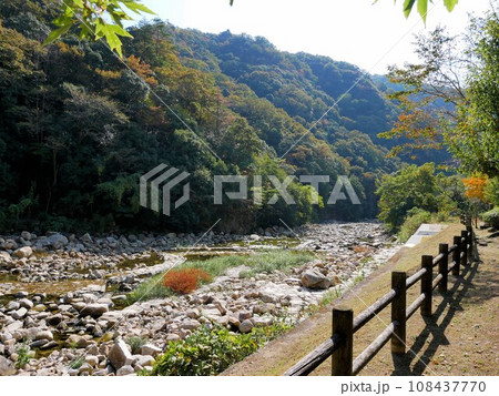 深山峡の風景と椋梨川 (広島県東広島市) 深山峡の風景と椋梨川 (広島県東広島市) 108437770