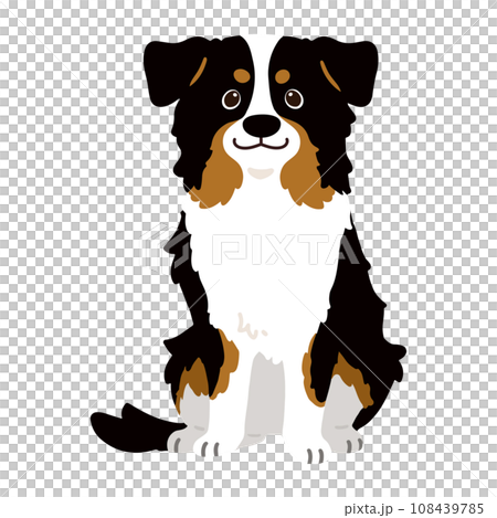 Hand-drawn illustration of a sitting black Australian Shepherd without main lines 108439785