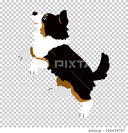 Hand-drawn illustration of a jumping black Australian Shepherd without main lines 108439787