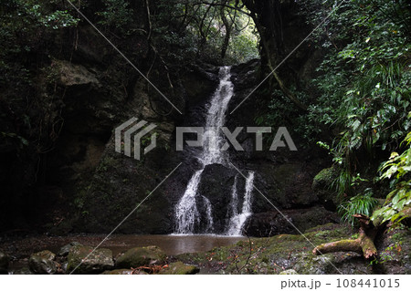 前蔵引の滝　千葉県南房総市 108441015