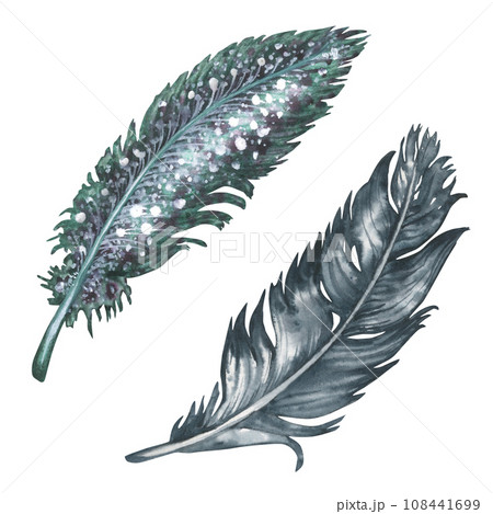 Watercolor green and grey bird feathers for art album elements, sketches, invitation design, frames Watercolor green and grey bird feathers for art album elements, sketches, invitation design, frames 108441699