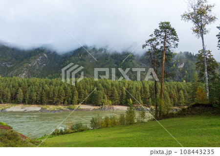 Scenic view of river with evergreen trees on mountain against cloudy sky at Altai, Russia 108443235