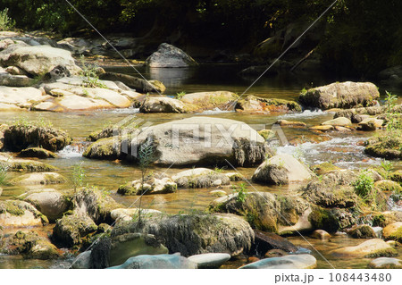 Mountain river flow among the large mossy boulders and backwaters. Mountain river flow among the large mossy boulders and backwaters. 108443480