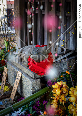 北野天満宮のお正月、花手水と牛に餅花かざり 108443536