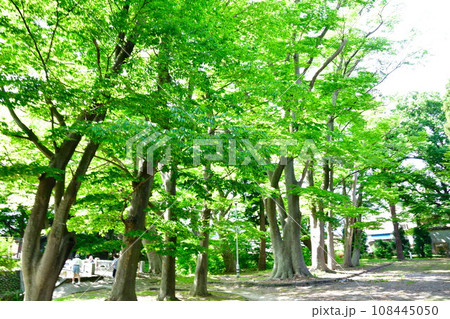 金峯神社(新潟県) 金峯神社(新潟県) 108445050