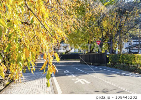 秋の角館武家屋敷通り 紅葉の風景 秋田県仙北市 秋の角館武家屋敷通り 紅葉の風景 秋田県仙北市 108445202