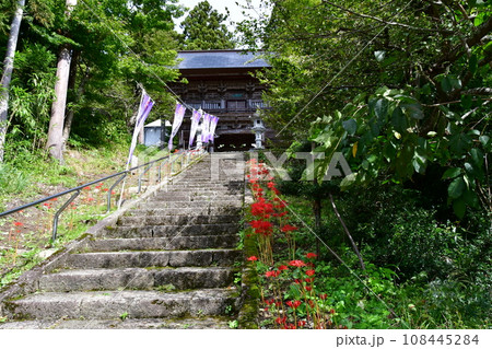 山形県　寒河江市　国史跡・本山慈恩寺　山門の前に咲くヒガンバナ 108445284