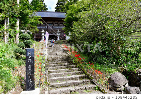 山形県 寒河江市 国史跡・本山慈恩寺 山門の前に咲くヒガンバナ 山形県 寒河江市 国史跡・本山慈恩寺 山門の前に咲くヒガンバナ 108445285