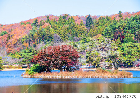 福島県　白河市　国指定史跡　名勝南湖公園の秋　御影の島　 108445770