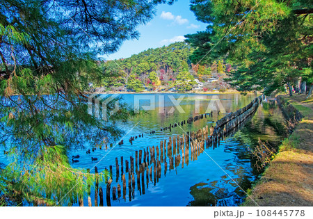 福島県 白河市 国指定史跡 名勝南湖公園の秋 福島県 白河市 国指定史跡 名勝南湖公園の秋 108445778