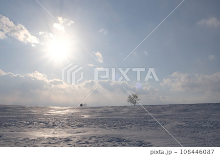 雪原と太陽 雪原と太陽 108446087