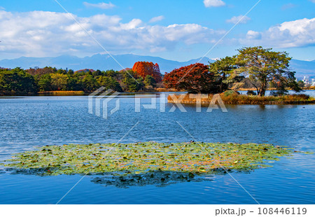 福島県　白河市　国指定史跡　名勝南湖公園の秋 108446119