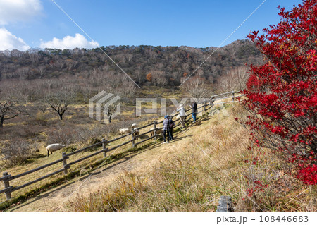 赤城白樺牧場　群馬県 108446683