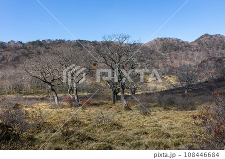 赤城白樺牧場　群馬県 108446684