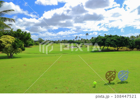 ハワイ（オアフ島）の休日（ゴルフライフ） 108447521