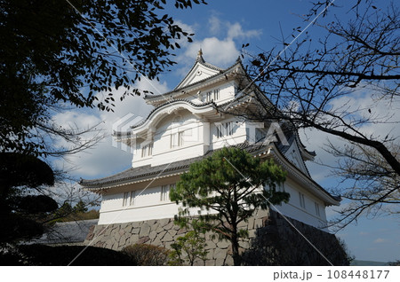 大多喜城（千葉県立中央博物館大多喜城分館）千葉県夷隅郡大多喜町 108448177