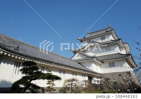 大多喜城（千葉県立中央博物館大多喜城分館）千葉県夷隅郡大多喜町 108448181