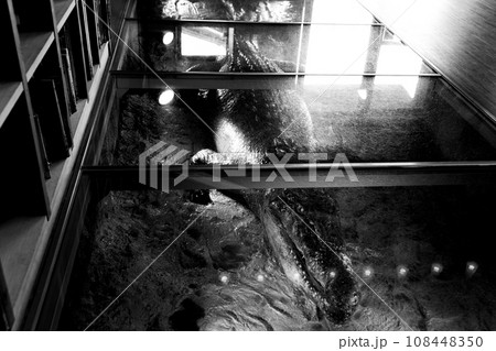 京都市動物園 京都市動物園 108448350