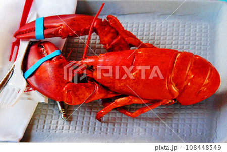 アメリカ合衆国 メイン州 チャンシー・クリーク アメリカン・ロブスター アメリカ合衆国 メイン州 チャンシー・クリーク アメリカン・ロブスター 108448549