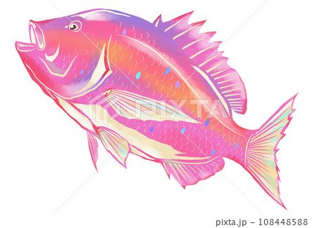 カラフル鯛のイラスト カラフル鯛のイラスト 108448588