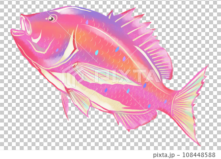 カラフル鯛のイラスト カラフル鯛のイラスト 108448588