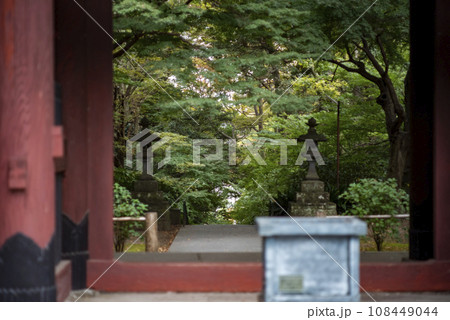 鎌倉10月 妙本寺1 鎌倉10月 妙本寺1 108449044