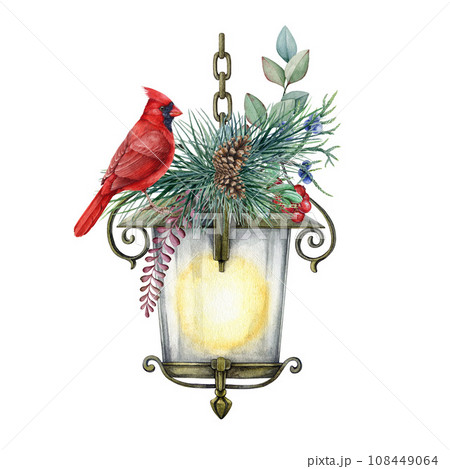 Red cardinal bird on a vintage style lantern winter decor. Winter festive cozy decoration. Watercolor painted illustration. Cardinal bird, vintage lamp, pine, eucalyptus branch. Winter decor element Red cardinal bird on a vintage style lantern winter decor. Winter festive cozy decoration. Watercolor painted illustration. Cardinal bird, vintage lamp, pine, eucalyptus branch. Winter decor element 108449064