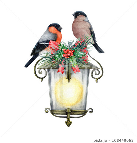Bullfinch bird couple on a vintage style lantern. Winter festive cozy decoration. Watercolor painted illustration. Bullfinch birds, vintage lantern, pine branch, holly leaves winter decor element 108449065