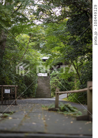鎌倉10月 妙本寺界隈12 鎌倉10月 妙本寺界隈12 108449129