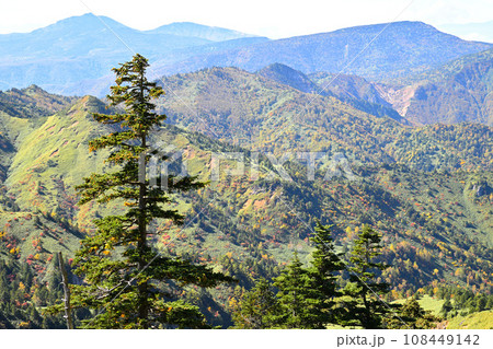 志賀草津高原ルート 横手山付近展望スポットからの眺め 秋の風景 志賀草津高原ルート 横手山付近展望スポットからの眺め 秋の風景 108449142