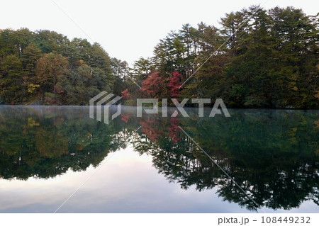【福島】五色沼湖沼群の紅葉(黄葉) 【福島】五色沼湖沼群の紅葉(黄葉) 108449232