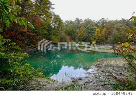 【福島】五色沼湖沼群の紅葉（黄葉） 108449245