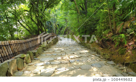 彦根城廊下橋から表門に続く坂道1 108449682