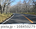 春の木々に囲まれた奥日光の道路 108450279