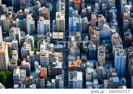 上空から見た大都市のビル群：AI生成画像 108450727