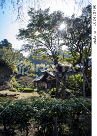鎌倉11月 瑞泉寺12 鎌倉11月 瑞泉寺12 108450790
