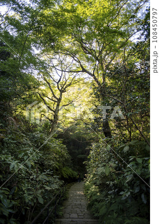 鎌倉11月　瑞泉寺19 108450797