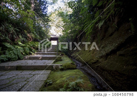 鎌倉11月 瑞泉寺20 鎌倉11月 瑞泉寺20 108450798