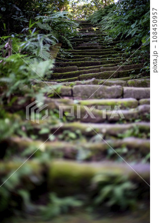 鎌倉11月　瑞泉寺24 108450957