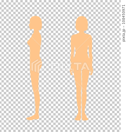 從側面和正面看一個瘦女人的全身輪廓 從側面和正面看一個瘦女人的全身輪廓 108450971