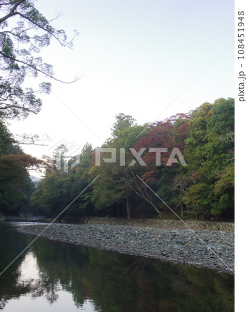 色づき始めた木々 色づき始めた木々 108451948
