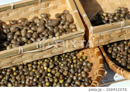 竹カゴにサイズ別に選り分けられたムカゴを天日干ししている様子 108452078