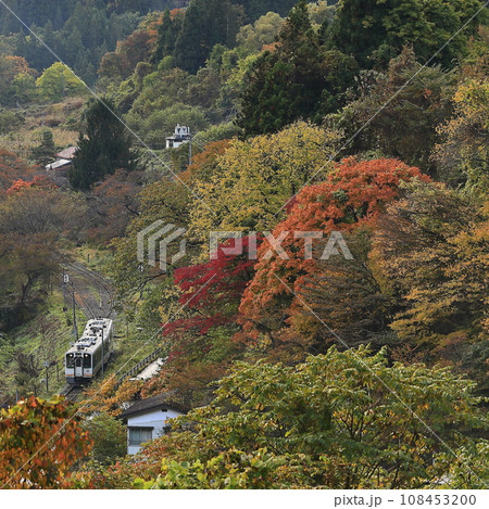 紅葉の会津鉄道 108453200