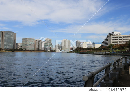 遠く永代橋を望む東京都江東区越中島の風景 108453975