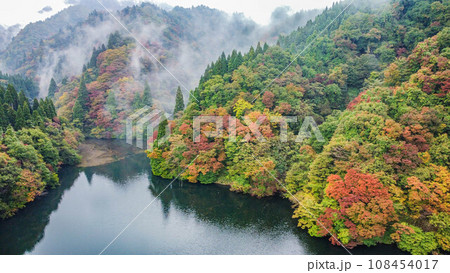 秋の井川ダム 108454017