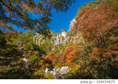 秋の昇仙峡　（山梨県） 108454675