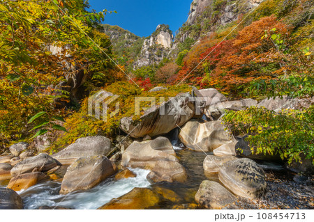 秋の昇仙峡　（山梨県） 108454713