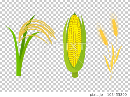 世界の三大穀物の米とトウモロコシと小麦 108455290